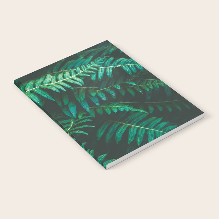 Ferns  Notebook Gallery Image 1