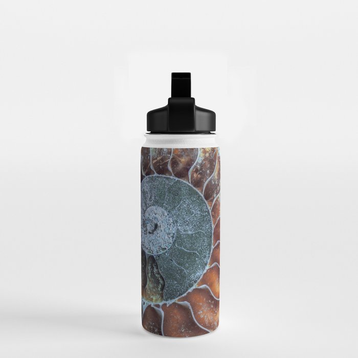 Spiral Ammonite Fossil Water Bottle Gallery Image 2