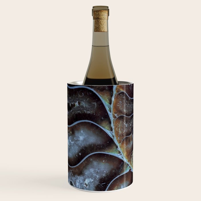 Spiral Ammonite Fossil Wine Chiller Gallery Image 2