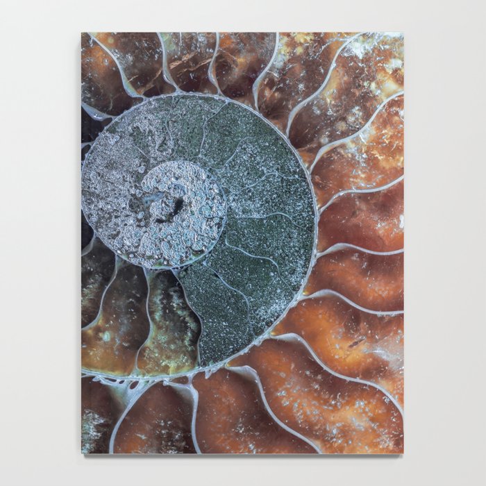 Spiral Ammonite Fossil Notebook Gallery Image 4