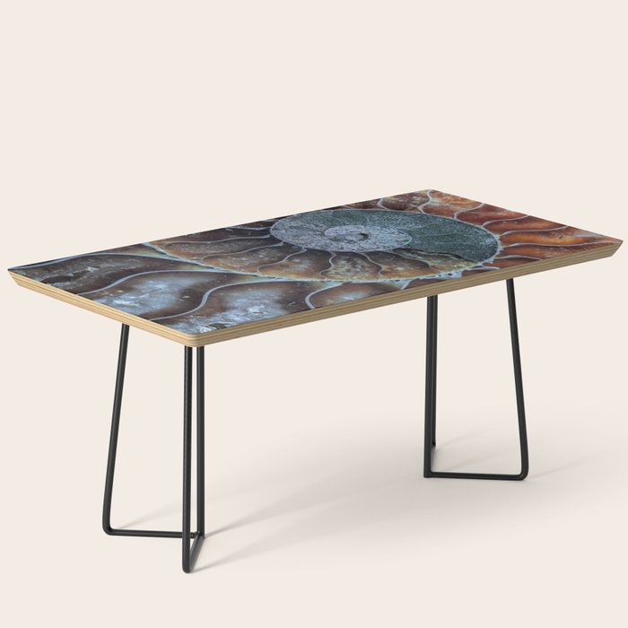 Spiral Ammonite Fossil Coffee Table Gallery Image 1
