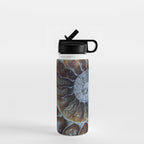 Spiral Ammonite Fossil Water Bottle Gallery Image 1