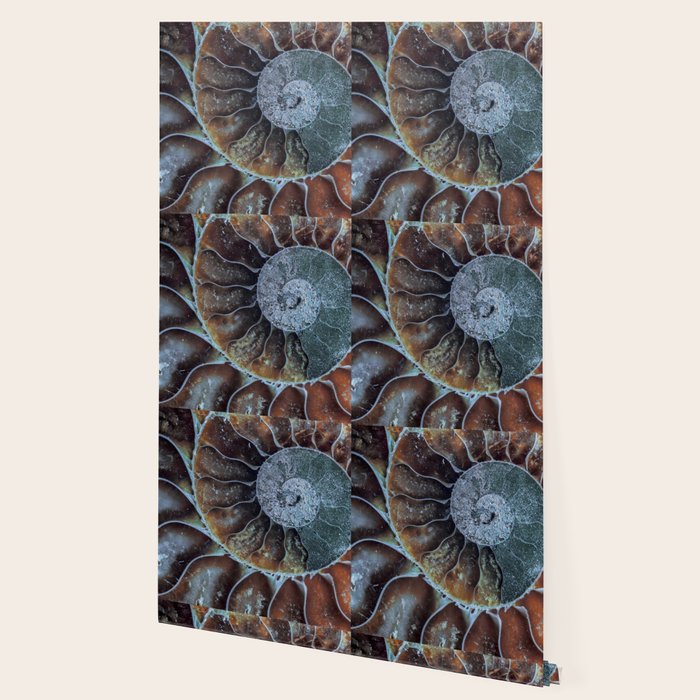 Spiral Ammonite Fossil Wallpaper Gallery Image 2