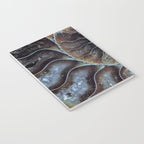 Spiral Ammonite Fossil Notebook Gallery Image 3