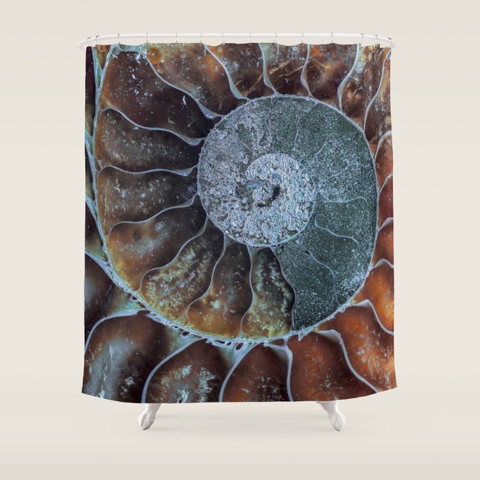 Spiral Ammonite Fossil Shower Curtain Gallery Image 1