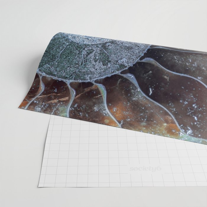 Spiral Ammonite Fossil Wrapping Paper Gallery Image 2