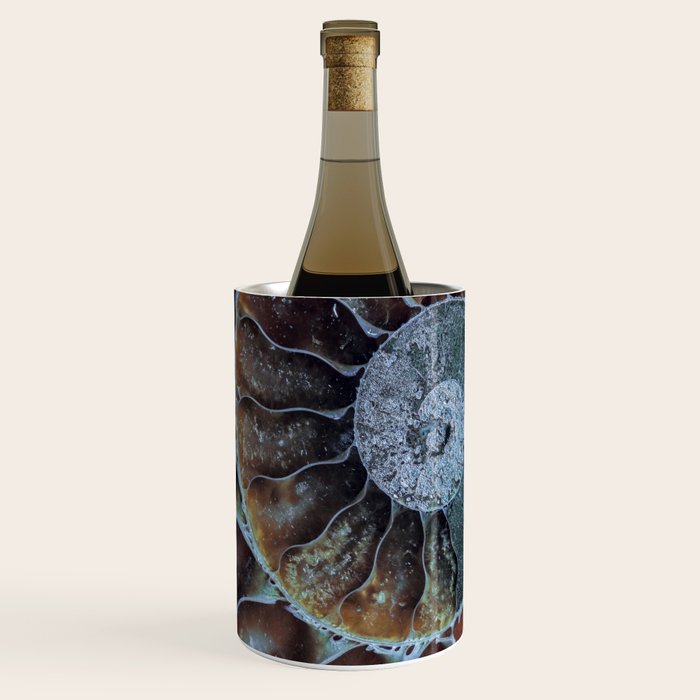 Spiral Ammonite Fossil Wine Chiller Gallery Image 1