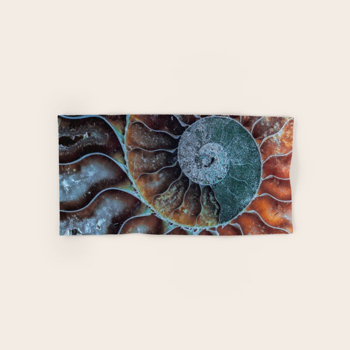 Spiral Ammonite Fossil Bath Towel Gallery Image 1