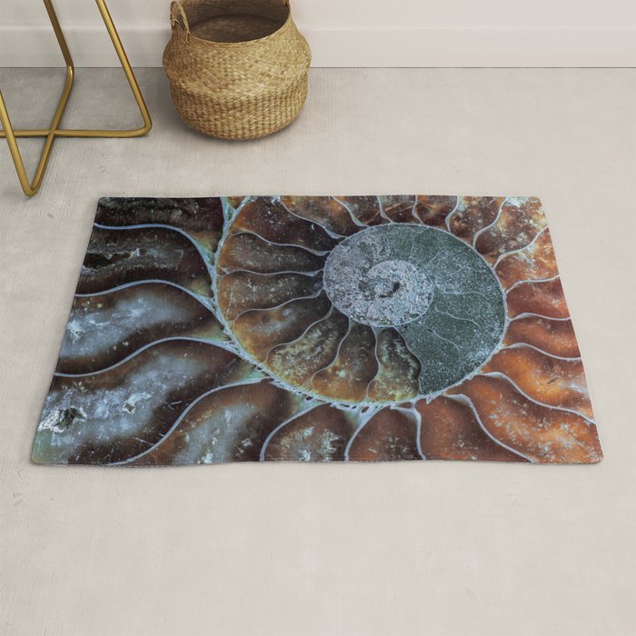 Spiral Ammonite Fossil Rug Gallery Image 1