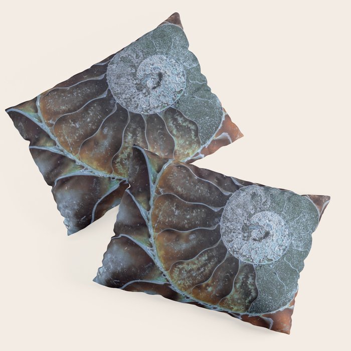 Spiral Ammonite Fossil Pillow Sham Gallery Image 1