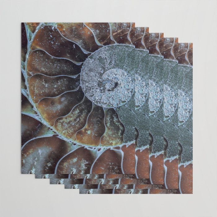 Spiral Ammonite Fossil Wrapping Paper Gallery Image 3