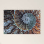 Spiral Ammonite Fossil Welcome Mat Gallery Image 1