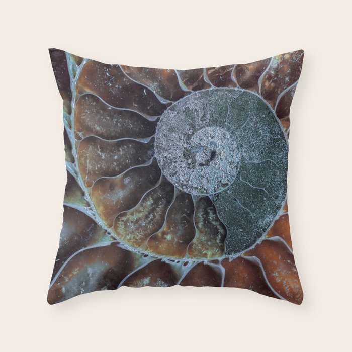 Spiral Ammonite Fossil Throw Pillow Gallery Image 1
