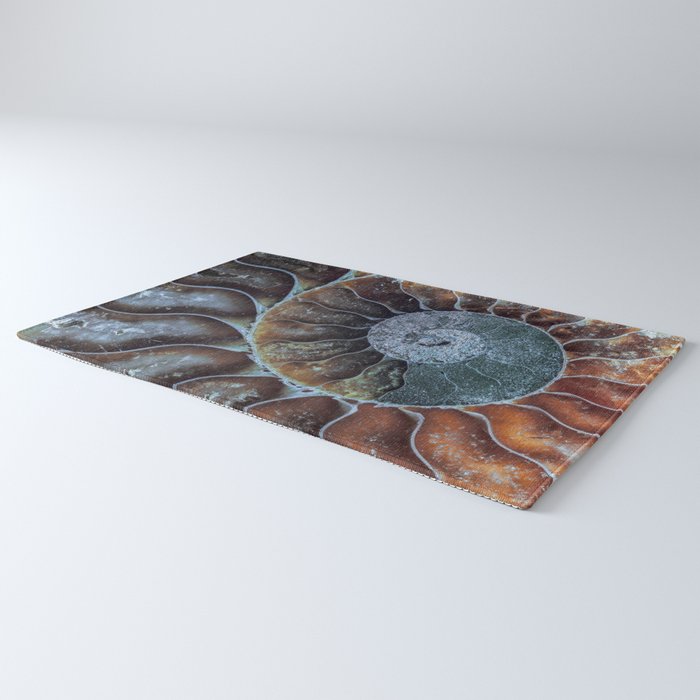 Spiral Ammonite Fossil Rug Gallery Image 3