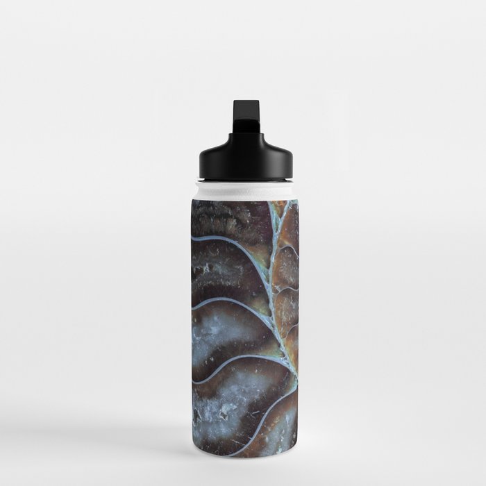 Spiral Ammonite Fossil Water Bottle Gallery Image 3