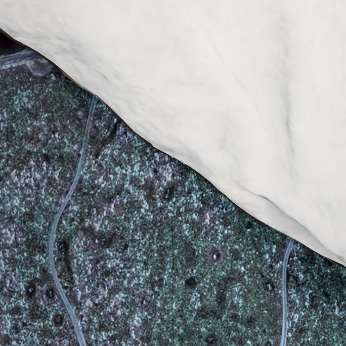 Spiral Ammonite Fossil Comforter Gallery Image 4