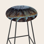 Spiral Ammonite Fossil Stool Gallery Image 2