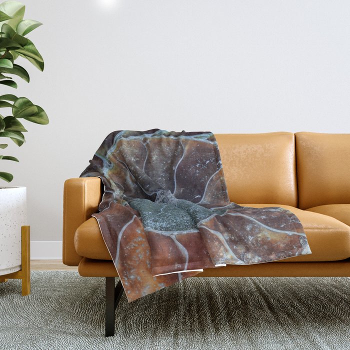 Spiral Ammonite Fossil Throw Blanket Gallery Image 1