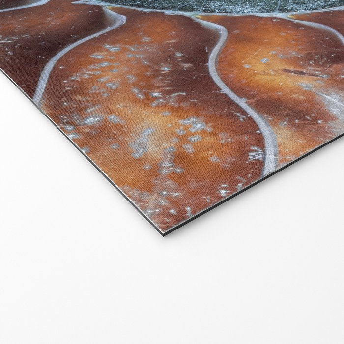 Spiral Ammonite Fossil Welcome Mat Gallery Image 2