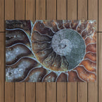 Spiral Ammonite Fossil Outdoor Rug Gallery Image 1