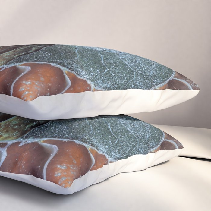 Spiral Ammonite Fossil Pillow Sham Gallery Image 3