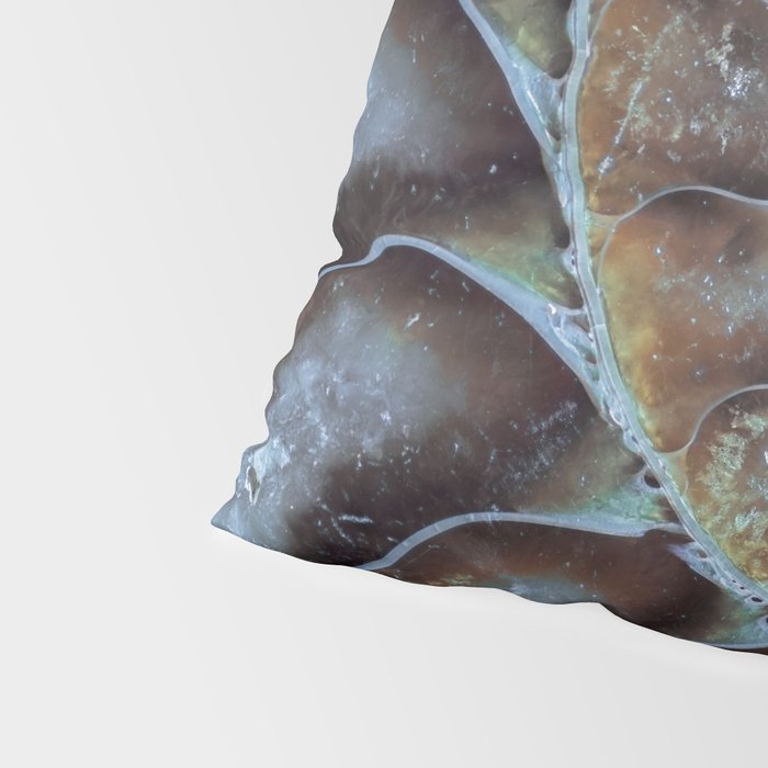 Spiral Ammonite Fossil Pillow Sham Gallery Image 4