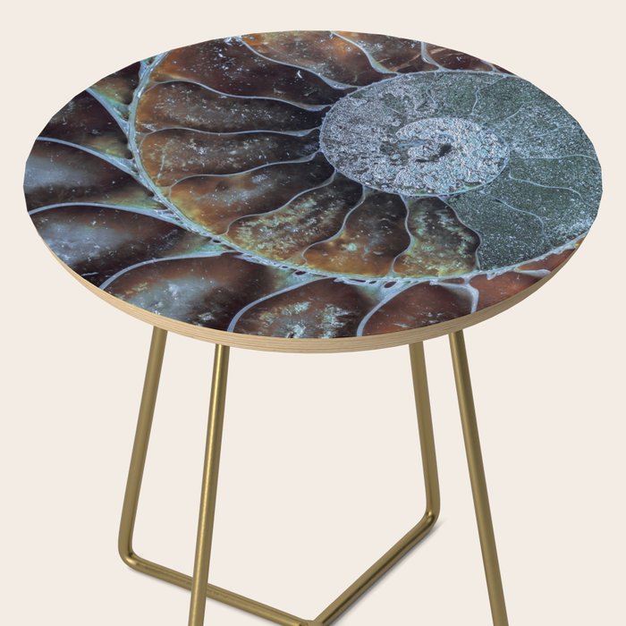 Spiral Ammonite Fossil Side Table Gallery Image 2