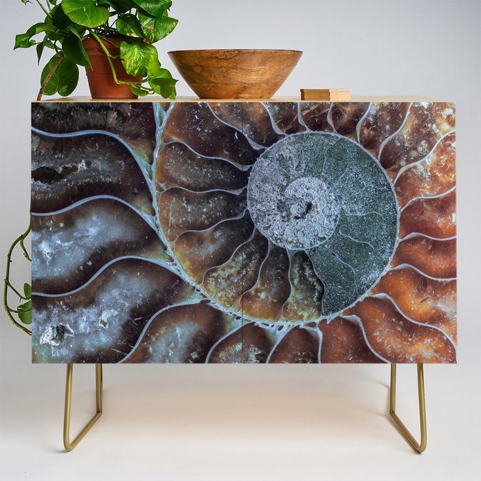 Spiral Ammonite Fossil Credenza Gallery Image 1