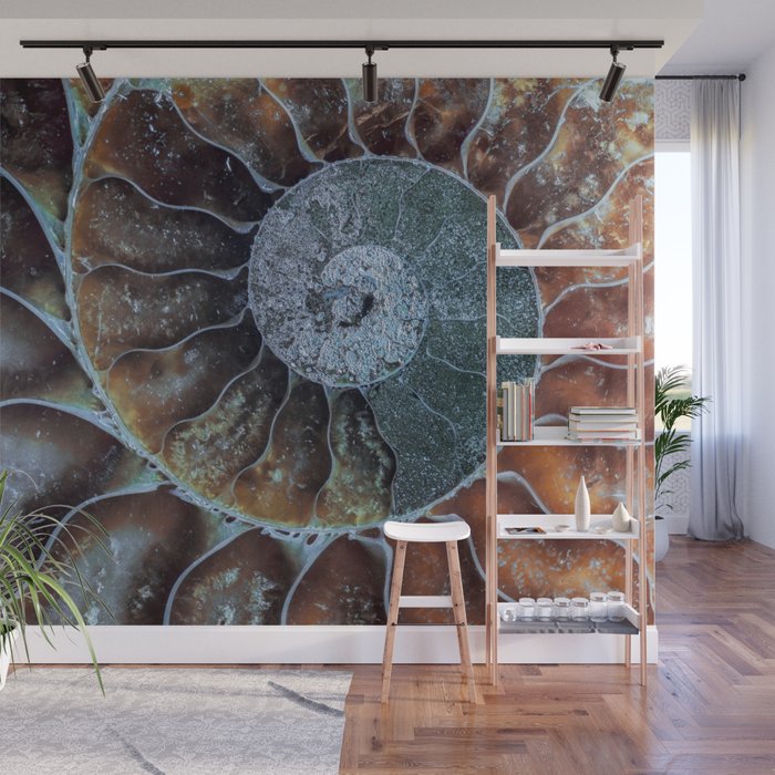 Spiral Ammonite Fossil Wall Mural Gallery Image 1