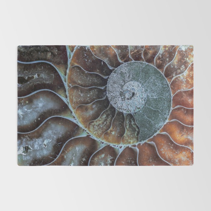 Spiral Ammonite Fossil Rug Gallery Image 2
