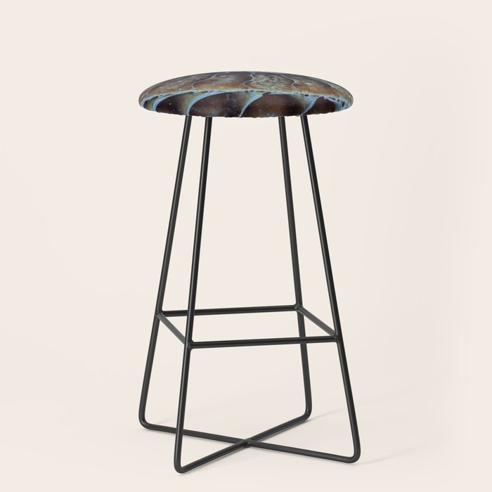 Spiral Ammonite Fossil Stool Gallery Image 1