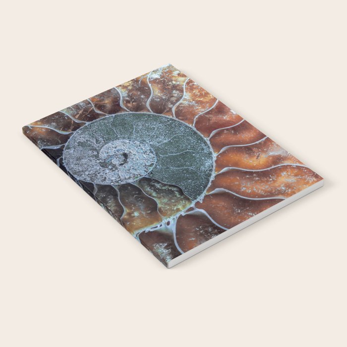 Spiral Ammonite Fossil Notebook Gallery Image 2