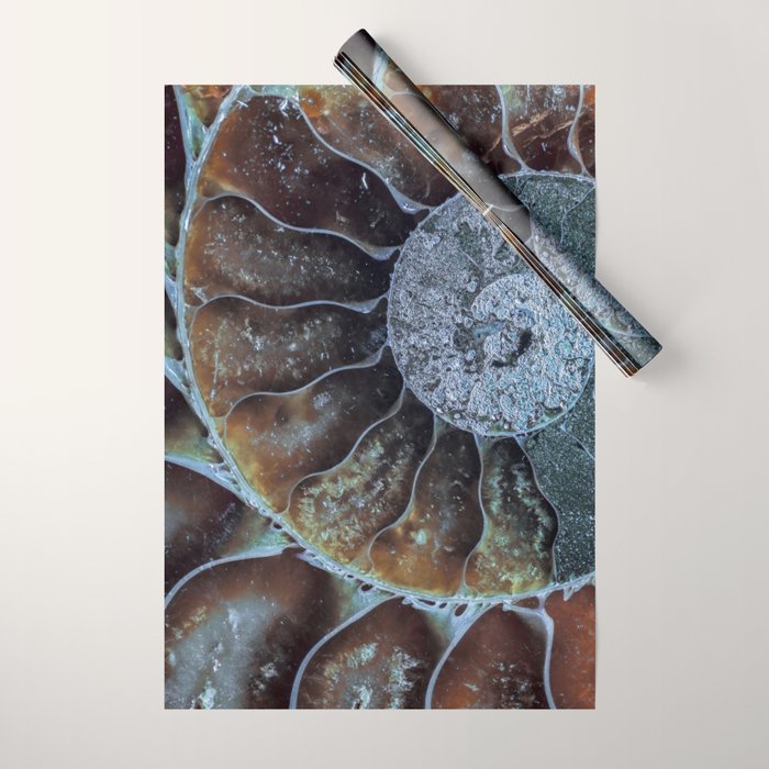 Spiral Ammonite Fossil Wrapping Paper Gallery Image 1