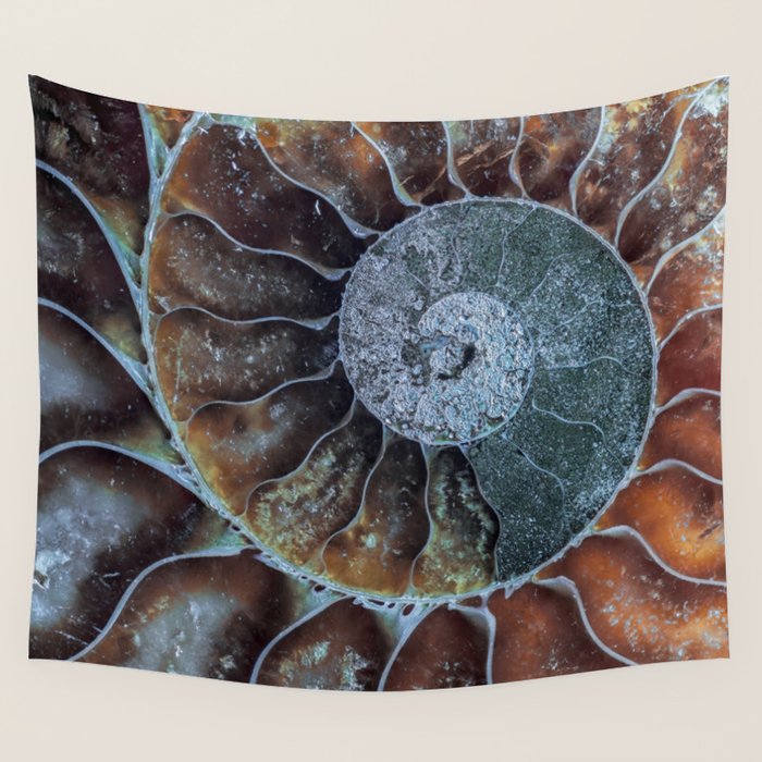 Spiral Ammonite Fossil Wall Tapestry