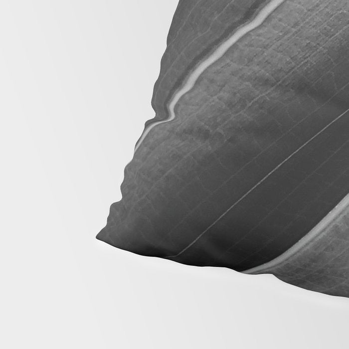 Leaf Photography Pillow Sham Gallery Image 4