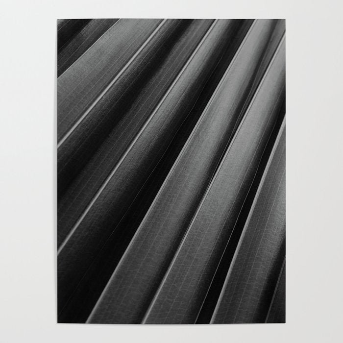 Leaf Photography Poster Gallery Image 4