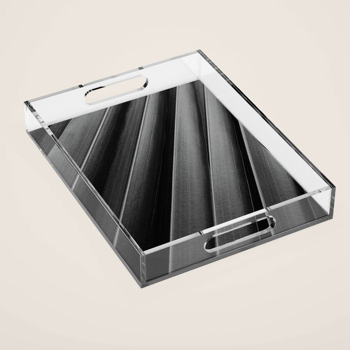 Leaf Photography Acrylic Tray Gallery Image 1
