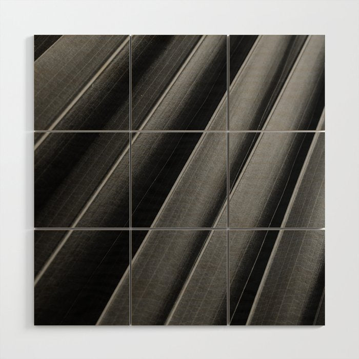 Leaf Photography Wood Wall Art Gallery Image 1