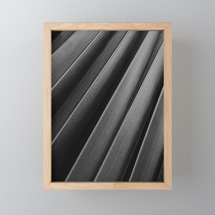 Leaf Photography Mini Art Print Gallery Image 1