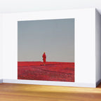Everything was Red Wall Mural Gallery Image 2
