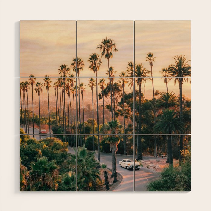 Elysian Park  Wood Wall Art Gallery Image 1