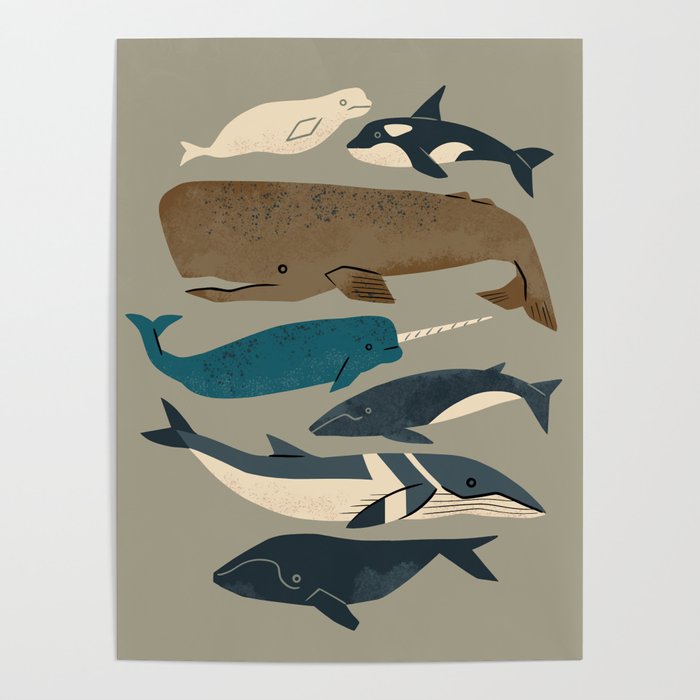 Whales Ahoy (Gray) Poster Gallery Image 4