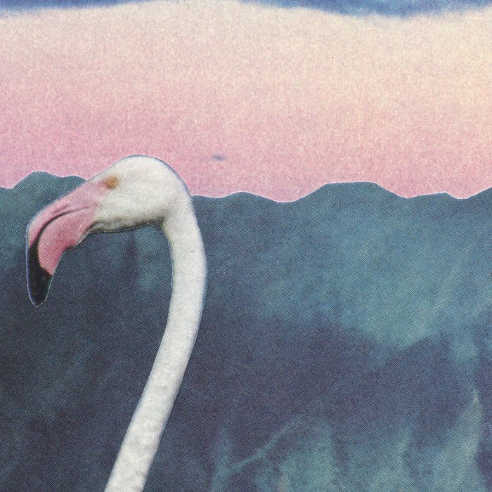 Flamingo Coffee Mug Gallery Image 2