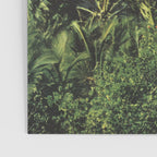 Flamingo Poster Gallery Image 3