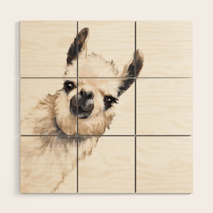 Sneaky Llama White Wood Wall Art Gallery Image 1