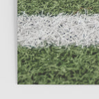 American Football Court with ball on Gras Poster Gallery Image 3