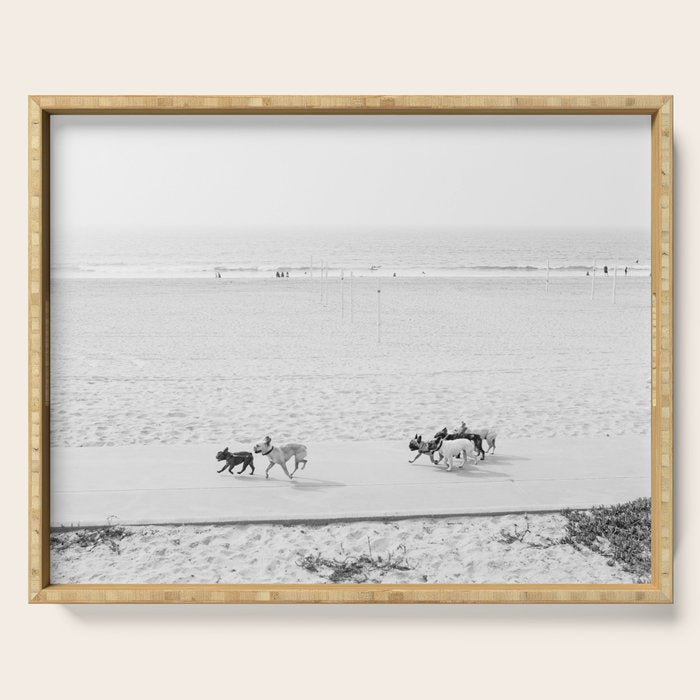 Puppy Traffic, French Bulldogs, Frenchie Art, French Bulldog Gifts Serving Tray Gallery Image 1