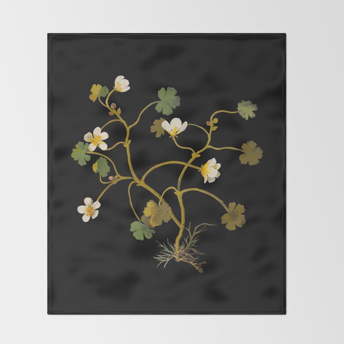 Ranunculus Aquaticus (Polyandria Polygynia) by Mary Delany Paper Collage Floral Flower Botanical Paper Mosaic Vintage Scientific Plant Anatomy Throw Blanket Gallery Image 2