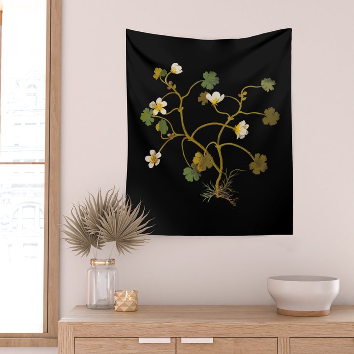 Ranunculus Aquaticus (Polyandria Polygynia) by Mary Delany Paper Collage Floral Flower Botanical Paper Mosaic Vintage Scientific Plant Anatomy Wall Tapestry Gallery Image 2