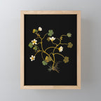 Ranunculus Aquaticus (Polyandria Polygynia) by Mary Delany Paper Collage Floral Flower Botanical Paper Mosaic Vintage Scientific Plant Anatomy Mini Art Print Gallery Image 1